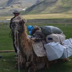 Explore Trekking in the Altai Mountains of Mongolia for 10 days with Discover Altai and discover unforgettable experiences - Photo 2