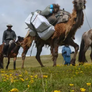 Explore Trekking in the Altai Mountains of Mongolia for 10 days with Discover Altai and discover unforgettable experiences - Photo 3