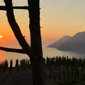 Explore Aeolian Islands Tour: The 7 pearls of Sicily for 8 days with Dimensione Sicilia - Dimsi Incoming Operator Srl  and discover unforgettable experiences - Photo 3
