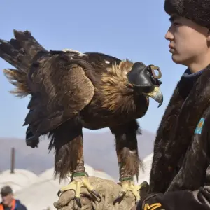 Explore Mongolia, Golden Eagle Festival Tour 2023! for 7 days with Discover Altai and discover unforgettable experiences - Photo 7