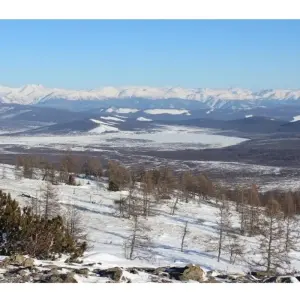 Explore Explore Tsaatan Reindeers in winter for 9 days with Discover Altai and discover unforgettable experiences - Photo 7