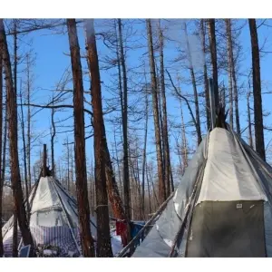 Explore Explore Tsaatan Reindeers in winter for 9 days with Discover Altai and discover unforgettable experiences - Photo 9