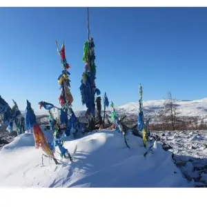 Explore Explore Tsaatan Reindeers in winter for 9 days with Discover Altai and discover unforgettable experiences - Photo 10