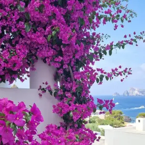 Explore Aeolian Islands Tour: The 7 pearls of Sicily for 8 days with Dimensione Sicilia - Dimsi Incoming Operator Srl  and discover unforgettable experiences - Photo 8