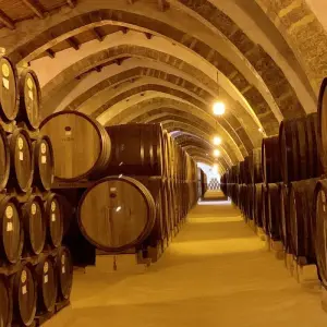 Explore Sicilian Secrets Tour of Sicily, Matera and Apulia 2025 for 10 days with Dimensione Sicilia - Dimsi Incoming Operator Srl  and discover unforgettable experiences - Photo 9