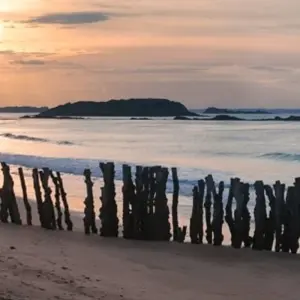 Explore Brittany to Normandy for 8 days with Discover France Adventures and discover unforgettable experiences - Photo 5
