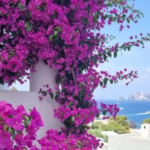 Explore Aeolian Islands Cruise in Gulet 2025 for 8 days with Dimensione Sicilia - Dimsi Incoming Operator Srl  and discover unforgettable experiences - Photo 5