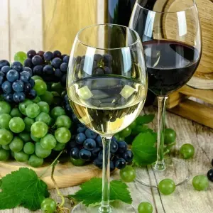 Explore Alsace Wine Route for 7 days with Discover France Adventures and discover unforgettable experiences - Photo 8