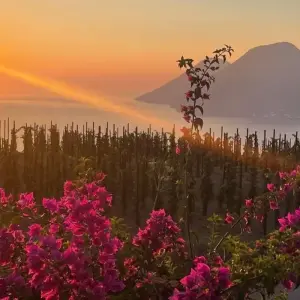 Explore Sicilian Secrets – Tour of Sicily & Aeolian Islands for 9 days with Dimensione Sicilia - Dimsi Incoming Operator Srl  and discover unforgettable experiences - Photo 10