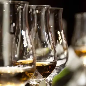 Explore Alsace Wine Route for 7 days with Discover France Adventures and discover unforgettable experiences - Photo 11