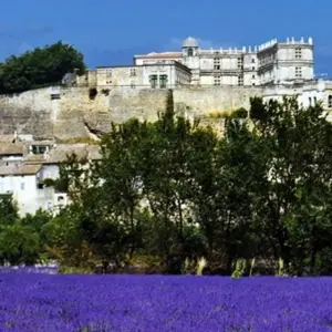 Explore Provence Lavender Fields and Vineyards for 8 days with Discover France Adventures and discover unforgettable experiences - Photo 4