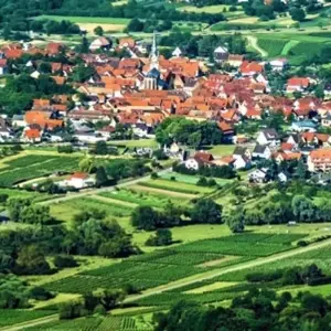 Explore Alsace Hiking Tour for 7 days with Discover France Adventures and discover unforgettable experiences - Photo 4