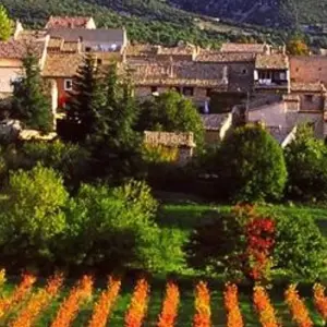Explore Provence Classic 5 nights - Avignon, Arles... for 6 days with Discover France Adventures and discover unforgettable experiences - Photo 6
