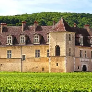 Explore Burgundy Walking Tour for 6 days with Discover France Adventures and discover unforgettable experiences - Photo 5