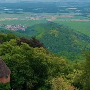 Explore Alsace Hiking Tour for 7 days with Discover France Adventures and discover unforgettable experiences - Photo 5