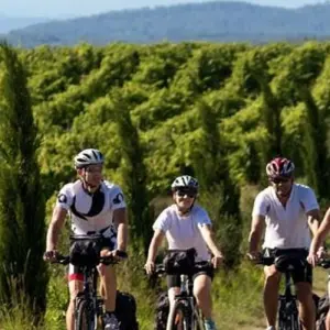 Explore Provence Classic 7 Nights - Uzès, Saint Remy... for 8 days with Discover France Adventures and discover unforgettable experiences - Photo 7