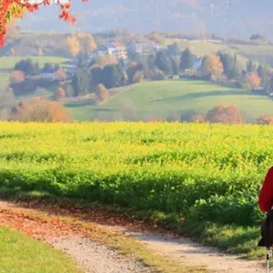 Explore Burgundy Walking Tour for 6 days with Discover France Adventures and discover unforgettable experiences - Photo 7