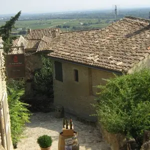Explore Provence Lavender Fields and Vineyards for 8 days with Discover France Adventures and discover unforgettable experiences - Photo 9