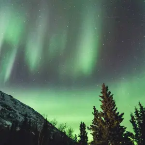 Explore Yukon Northern Lights Holiday Premium Tour for 4 days with Discover Canada Tours and discover unforgettable experiences - Photo 2
