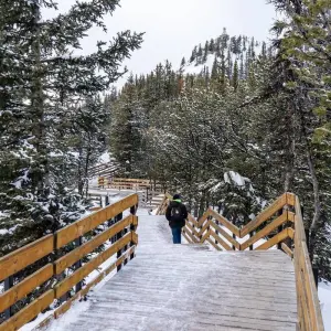 Explore Rockies Premium Christmas Tour for 5 days with Discover Canada Tours and discover unforgettable experiences - Photo 3