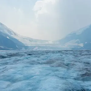 Explore Rockies Summer Classic Tour for 4 days with Discover Canada Tours and discover unforgettable experiences - Photo 3