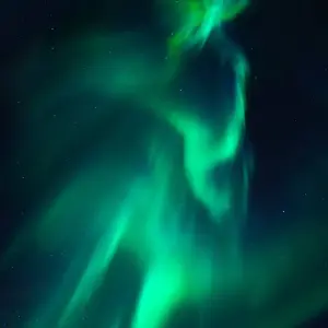 Explore Yukon Deluxe Winter Northern Lights Tour (Start and End in Vancouver) for 4 days with Discover Canada Tours and discover unforgettable experiences - Photo 6