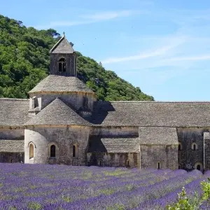 Explore Provence Classic 5 nights - Avignon, Arles... for 6 days with Discover France Adventures and discover unforgettable experiences - Photo 11