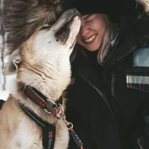 Explore Yukon Northern Lights Holiday Premium Tour for 4 days with Discover Canada Tours and discover unforgettable experiences - Photo 5