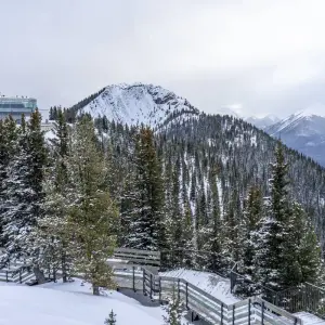 Explore Rockies Winter Premium Tour (Small Group) for 5 days with Discover Canada Tours and discover unforgettable experiences - Photo 7