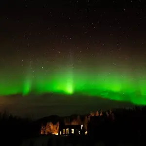 Explore Yukon Northern Lights Holiday Premium Tour for 4 days with Discover Canada Tours and discover unforgettable experiences - Photo 7