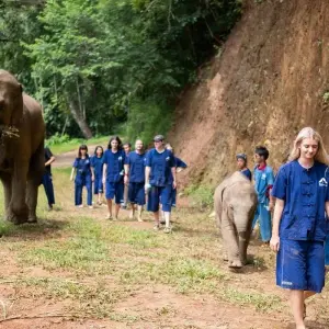 Explore Thailand – The Elephant Experience for 10 days with Discover Corps and discover unforgettable experiences - Photo 4