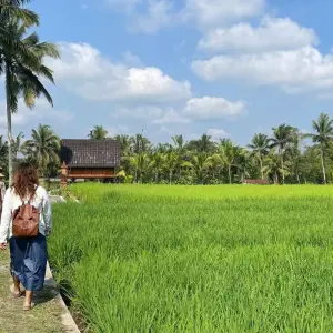 Explore Bali - Island of Inspiration for 9 days with Discover Corps and discover unforgettable experiences - Photo 4