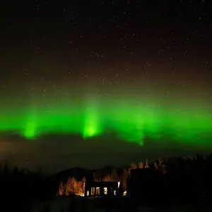 Explore Yukon Deluxe Winter Northern Lights Tour (Start and End in Vancouver) for 4 days with Discover Canada Tours and discover unforgettable experiences - Photo 11