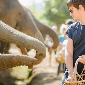 Explore Thailand – The Elephant Experience for 10 days with Discover Corps and discover unforgettable experiences - Photo 5
