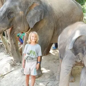 Explore Thailand – The Elephant Experience for 10 days with Discover Corps and discover unforgettable experiences - Photo 6