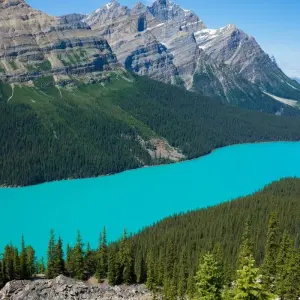 Explore Western Canada & Vancouver Island Premium Tour for 16 days with Discover Canada Tours and discover unforgettable experiences - Photo 11