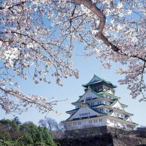 Explore Japan – Cultural Odyssey for 8 days with Discover Corps and discover unforgettable experiences - Photo 6
