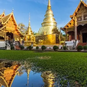 Explore Thailand – The Elephant Experience for 10 days with Discover Corps and discover unforgettable experiences - Photo 8