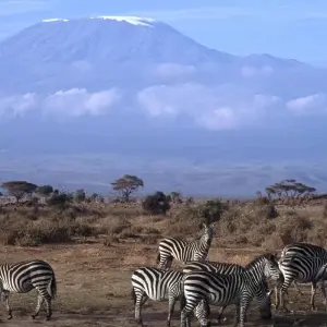 Explore Tanzania – Safari & Service for 10 days with Discover Corps and discover unforgettable experiences - Photo 9