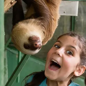 Explore Costa Rica – Family Volunteer Adventure for 8 days with Discover Corps and discover unforgettable experiences - Photo 3