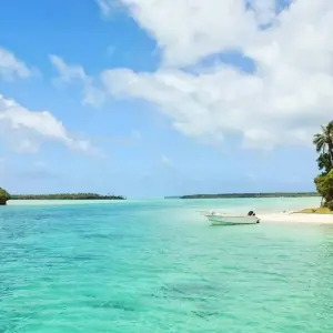 Explore Jamaica - Caribbean & Conservation for 6 days with Discover Corps and discover unforgettable experiences - Photo 5