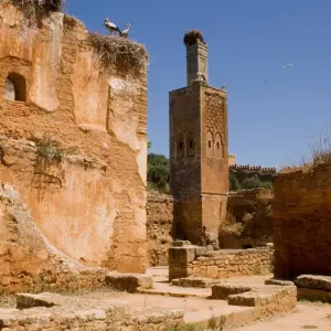 Explore Morocco Unveiled: 10 Days Tour of Adventure and Discovery for 10 days with Discover Morocco  and discover unforgettable experiences - Photo 2