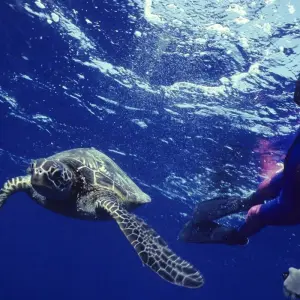Explore Galapagos Islands – Family Volunteer Vacation for 10 days with Discover Corps and discover unforgettable experiences - Photo 6