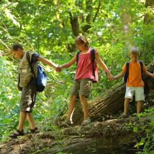 Explore Costa Rica – Family Volunteer Adventure for 8 days with Discover Corps and discover unforgettable experiences - Photo 6
