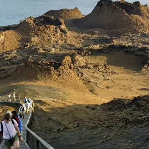 Explore Galapagos Islands – Family Volunteer Vacation for 10 days with Discover Corps and discover unforgettable experiences - Photo 7