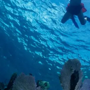 Explore Galapagos Islands – Family Volunteer Vacation for 10 days with Discover Corps and discover unforgettable experiences - Photo 9