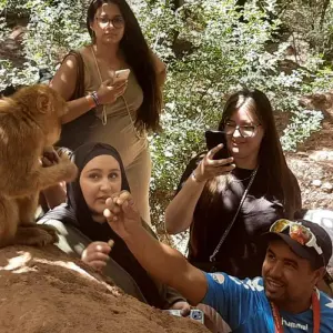 Explore Marrakech: 4-Day Tour with Cooking Class and Waterfall Trip for 4 days with Discover Morocco  and discover unforgettable experiences - Photo 8