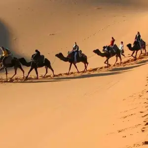 Explore Imperial Cities & Desert Tour for 7 days with Discover Morocco  and discover unforgettable experiences - Photo 9