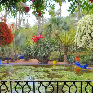 Explore Totally Morocco Tour from Marrakech for 11 days with Discover Morocco  and discover unforgettable experiences - Photo 5