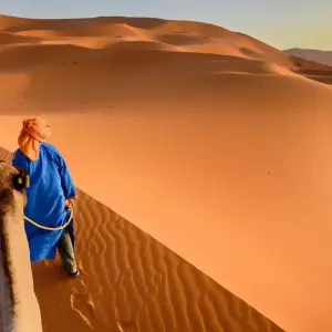 Explore Fez & Desert Magical Tour for 4 days with Discover Morocco  and discover unforgettable experiences - Photo 10